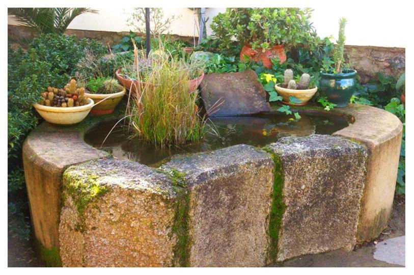 Casa Rural Valdevilano La Roca de la Sierra ภายนอก รูปภาพ